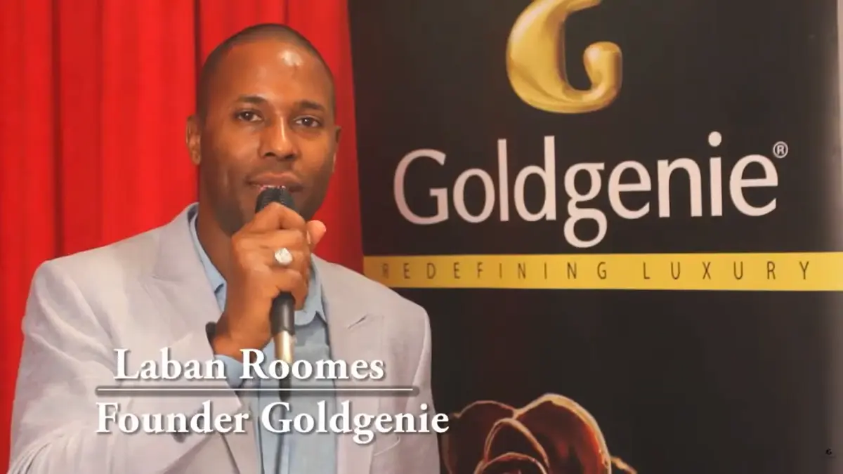 Does LERONZA™ Ship to the USA? Global Delivery Explained